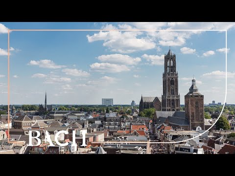 Bach - WTC II Prelude and fugue no. 1 in C major BWV 870 - Schornsheim | Netherlands Bach Society