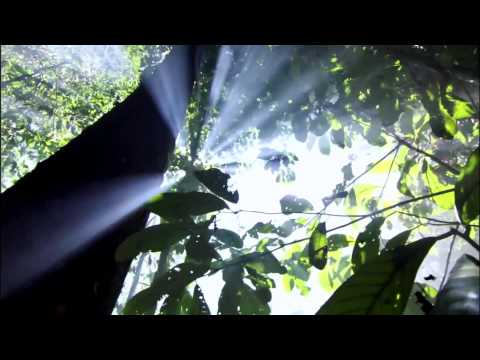 Novi Surya Palawara - Ku Sebut Namamu