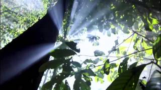 Download lagu Novi Surya Palawara - Ku Sebut Namamu mp3 Download lagu Novi Surya Palawara - Ku Sebut Namamu mp3