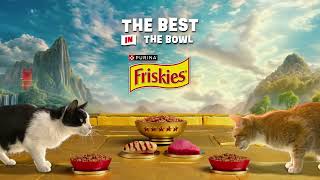 Friskies Epic Taste and Nutrition for Your Cat: Dry Cat Food