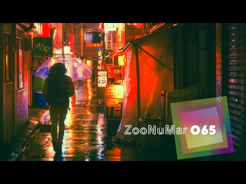 Organic House, Melodic House, Progressive House | ZooNuMar Mix 065(TSJ sound)