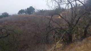 How to Know When You Need a Tree Doctor