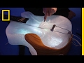 Coolest Concert Ever Hear Ice Instruments Play Beautiful Music Short Film Showcase