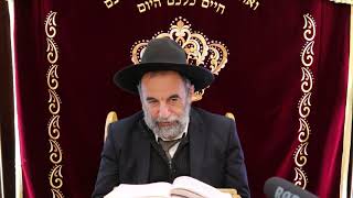 הרב יהודה נקי שליט"א 
הלכות עונג שבת