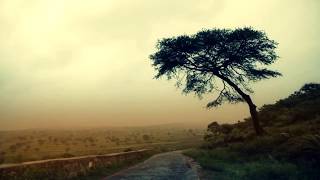 Unjust Balance - Nylonwings