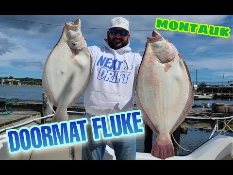 State Record Fluke? GIANT Montauk Fluke Caught!