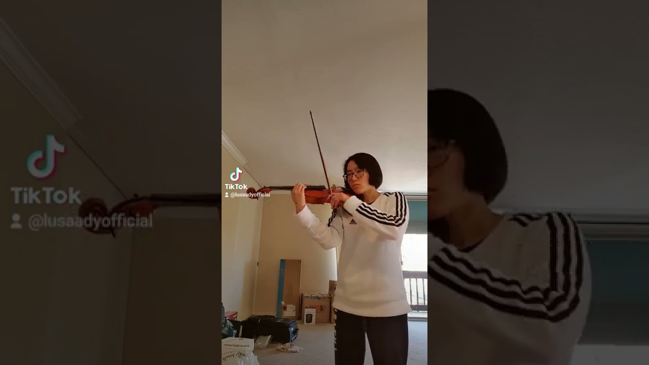Promotional video thumbnail 1 for Nali Liu Violin