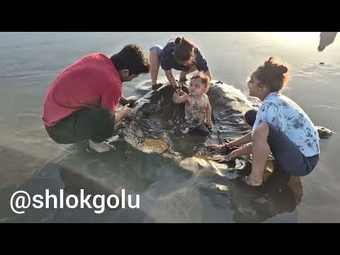 dandi beach ⛱️ | navsari | playing # VL# @shlokgolu | short #cutebaby |