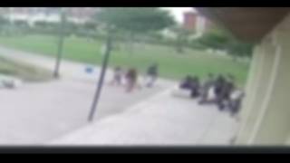 Picchiata brutalmente nel Parco Rossani di Bari: l’aggressione registrata dalle telecamere di sor...