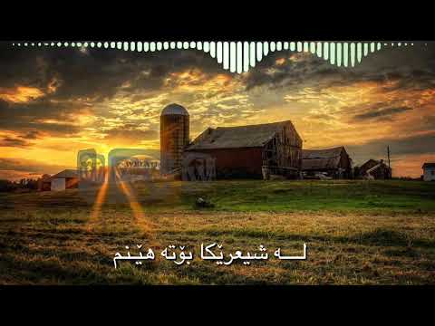 Bast hama xarib chapke xoshawisti