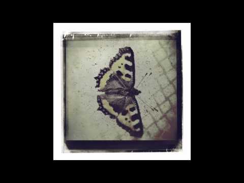 Debs McCoy - Revolver