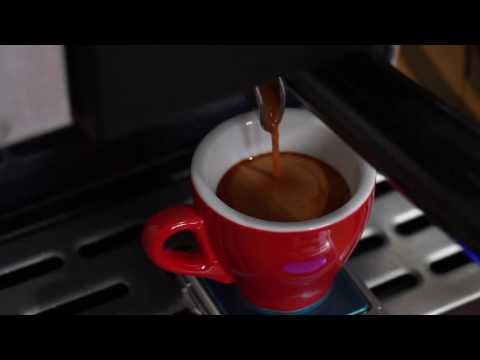 Crossland CC1 Espresso