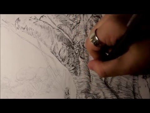 Pen and Ink hatching trees. Speedpaint