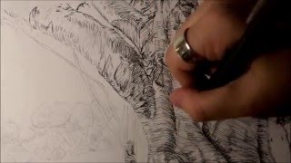 Pen and Ink hatching trees. Speedpaint