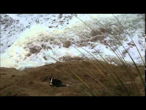 Johanna Beach July 2014