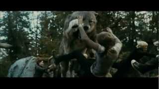 Endtapes - The Joy Formidable [Official Clip MOVIE TRAILER] - HD