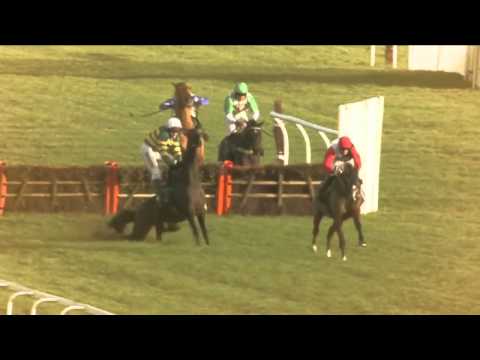 Bet 365 Hennessy Festival - Racing TV