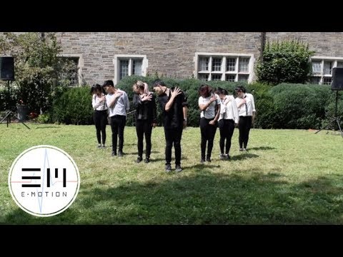 [E.Motion] PRODUCE 101 - Never @ Cornell A3WR 2017