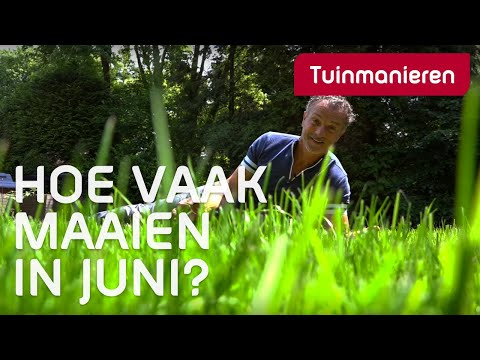 Hoe vaak moet je je gazon maaien in juni? Grastips