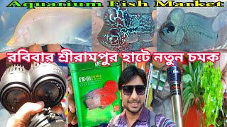 Sunday রঙিন মাছের হাট শ্রীরামপুরে | Aquarium Fish | Aquarium Fish Plants | Aquarium Accessories 