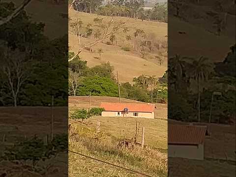 Fazenda de cristais paulista sp