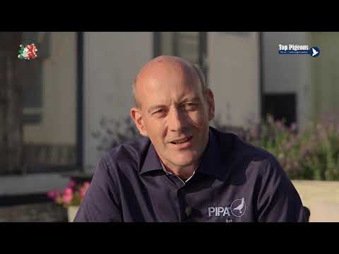 ZLU wedvlucht winnaar St Vincent 2019   Ad Fortuin