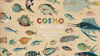 Cosmo Sheldrake - Linger A While