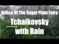 ♫ Dance of the Sugar Plum Fairy Tchaikovsky with Rain - Thunderstorm with Classical Music