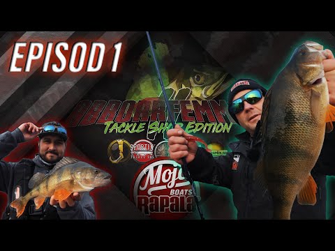 ABBORRFEMMAN 2020 | EP.1 | PERCH FIVE | ENG. SUBS | Perch fishing competition