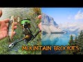 Video Thumbnail for Catching Brook Trout with Inline Spinners in the Rocky Mountains