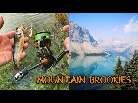 Catching Brook Trout with Inline Spinners in the Rocky Mountains