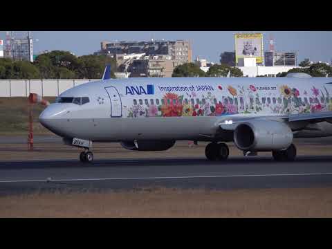 【4Ｋ】Boeing 737 800 JA85AN 2 190127