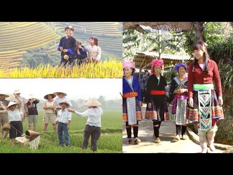 Du lịch Việt Nam 2019 - Một năm nhìn lại