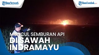 Semburan Api Muncul di Sawah Desa Sukaperna di Indramayu, BPBD Setempat Beri Penjelasan