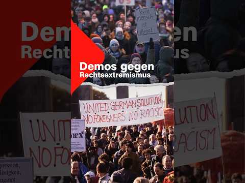 Große Demos gegen Rechtsextremismus – gab es das schon einmal? | Terra X #Demos