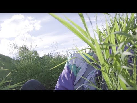 Josodo — Лучший