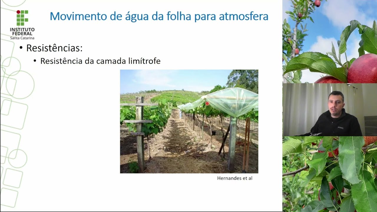 Relações hídricas - Resistências ao movimento da água