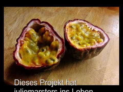 Projekt: Fruchtcocktail - Passionsfrucht