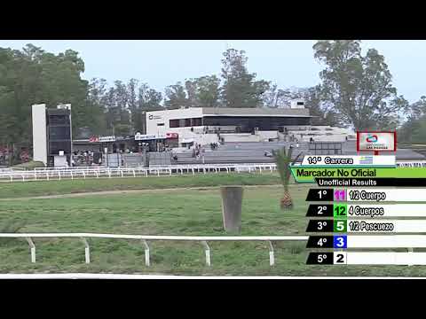 CARRERAS HIPODROMO LAS PIEDRAS  21/10/23 - URUGUAY -
