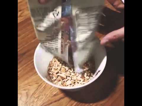 Eddy-stagram JJCC's Eddy #How to Eat Biscuit