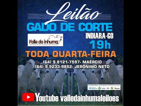 INDIARA- GO   02/09/2026