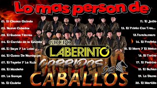 Download lagu 🔥 Grupo Laberinto – 20 Corridos de Caballos Inmortales para Pistear sin Parar | Mix 2025 mp3 Download lagu 🔥 Grupo Laberinto – 20 Corridos de Caballos Inmortales para Pistear sin Parar | Mix 2025 mp3