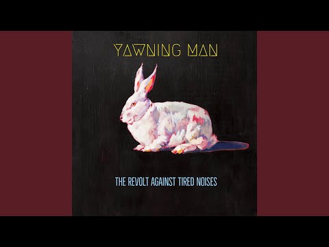 Black Kite - Yawning Man