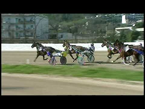 Napoli Trotto 19/02/2021 - 2ª corsa