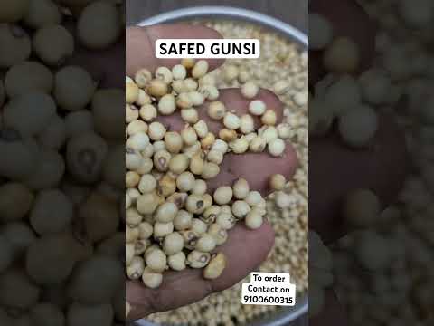 White Gunja Seeds