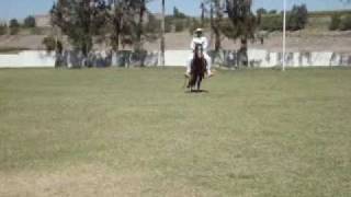 preview picture of video 'Lucho Bailando marinera a caballo, fechavico'