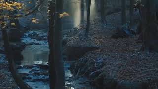 Ed Sheeran/Peter Hollens- Hands of Gold