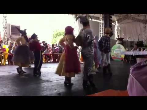 Mirim do independência gaúcha / rodeio de campo bom