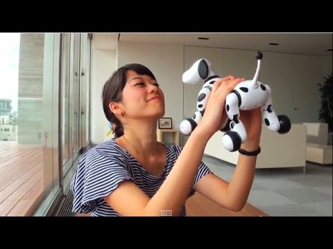 Ｈｅｌｌｏ！Ｚｏｏｍｅｒ (ハローズーマー) 　こっちみて♪編