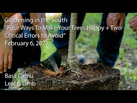 Gardening in the South - Basil Camu - "Four Ways To Make Your Trees Happy + Two Errors to Avoid"